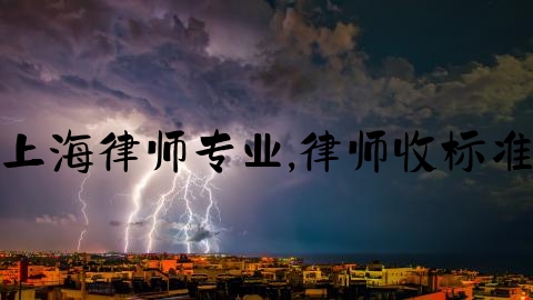 上海律师专业,律师收标准