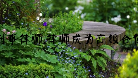 安刑事律师,律师成为高级合伙人