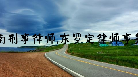 山南刑事律师,东罗定律师事务所