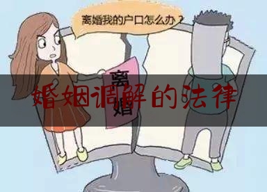 婚姻调解的法律（婚姻调解的法律依据）