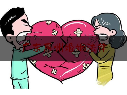 广东惠州婚姻法律