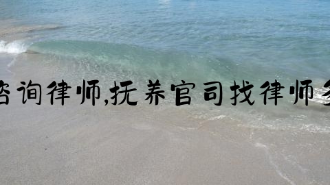 上海咨询律师,抚养官司找律师多少钱