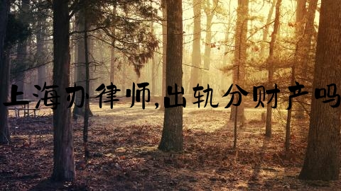上海办律师,出轨分财产吗