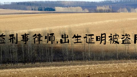 益刑事律师,出生证明被盗用