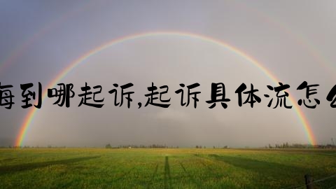 上海到哪起诉,起诉具体流怎么走