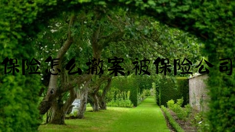 交通事故保险怎么撤案,被保险公司忽悠撤诉