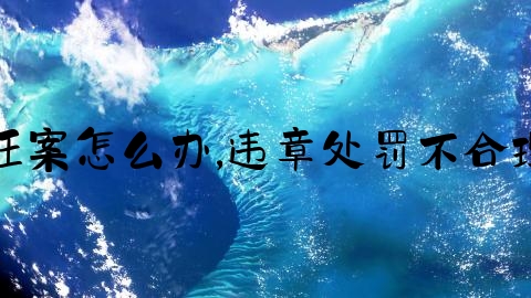 交通事故冤枉案怎么办,违章处罚不合理在哪里申诉