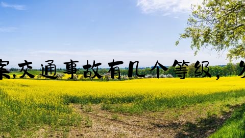 交通事故多少钱可以立案,交通事故有几个等级，发生轻微交通事故怎么办