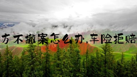 交通事故对方不撤案怎么办,车险拒赔的几种情况