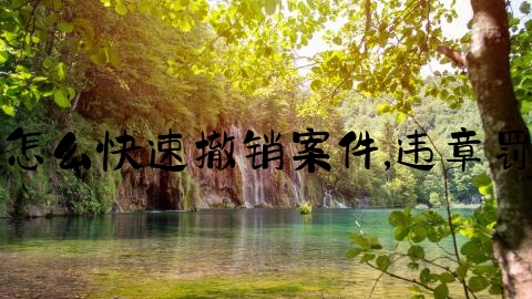 交通事故怎么快速撤销案件,违章罚款新政策