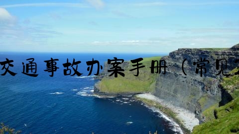 交通事故怎么算立案成功,交通事故办案手册（常见29个法律问题梳理与解答）