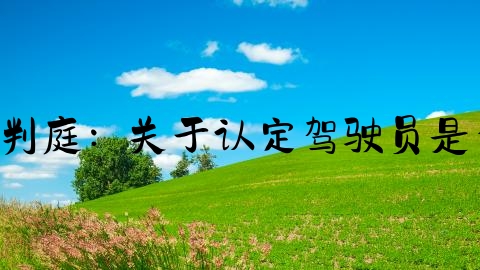 交通事故怎么转刑事案件,最高院刑事审判庭：关于认定驾驶员是否构成“肇事后逃逸”的6个指导性案例