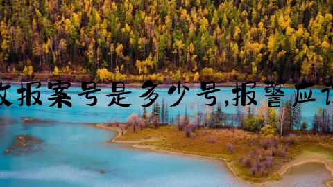 交通事故报案号是多少号,报警应该怎么做