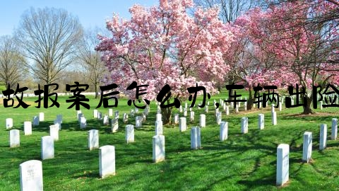 交通事故报案后怎么办,车辆出险怎么办