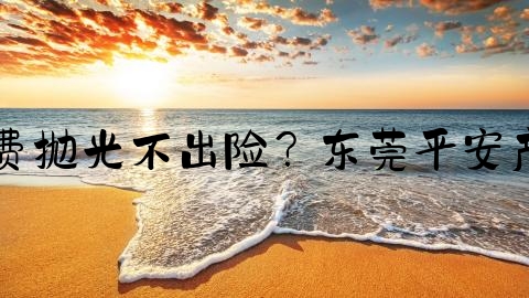 交通事故报案怎么取消,免费抛光不出险？东莞平安产险带你了解爱车无痕服务