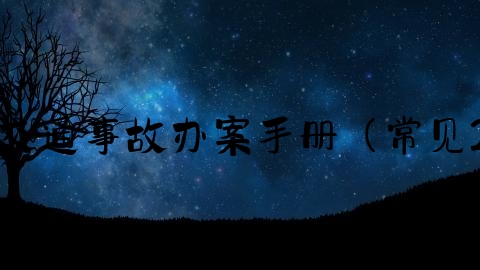 交通事故报案怎么打官司,交通事故办案手册（常见29个法律问题梳理与解答）