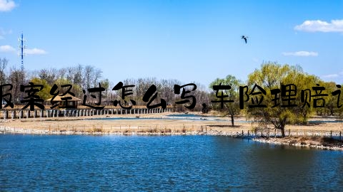 交通事故报案经过怎么写,车险理赔记录怎么查