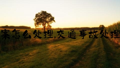 交通事故最后结案怎么处理,交通事故处理的流程以及赔偿
