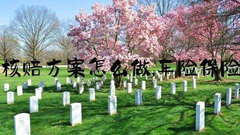 交通事故核赔方案怎么做,车险保险理赔知识