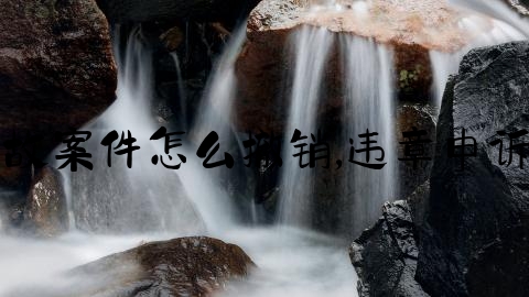 交通事故案件怎么撤销,违章申诉被驳回