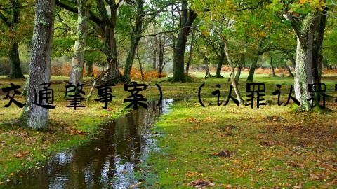 交通事故案情陈述怎么写,起诉书（马某某交通肇事案）（认罪认罚案件适用）（自然人犯罪案件）（公开版）