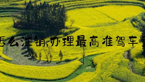 交通事故档案怎么注销,办理最高准驾车型注销什么意思