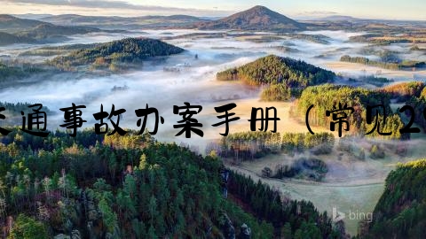 交通事故法院怎么立案,交通事故办案手册（常见29个法律问题梳理与解答）