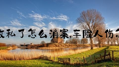 交通事故私了怎么消案,车险人伤怎么赔付