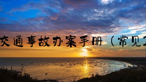 交通事故立案后会怎么样,交通事故办案手册（常见29个法律问题梳理与解答）