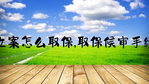 交通事故立案怎么取保,取保候审手续怎么办理