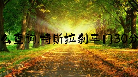 交通事故立案怎么查询,特斯拉刹车门30分钟数据首次披露