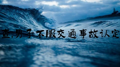 交通事故立案成功怎么查,男子不服交通事故认定书，行政诉讼不予立案