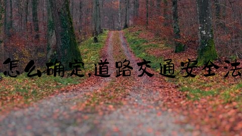 交通事故立案管辖怎么确定,道路交通安全法违法处理程序规定