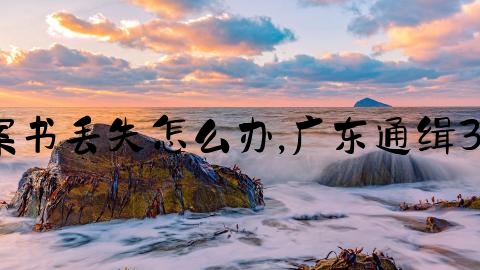 交通事故结案书丢失怎么办,广东通缉30名命案逃犯