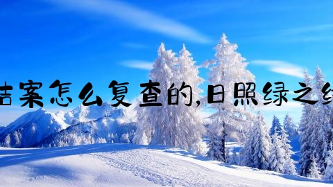 交通事故结案怎么复查的,日照绿之缘环保集团