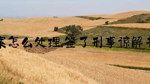交通事故翻案怎么处理,签了刑事谅解书可以反悔吗