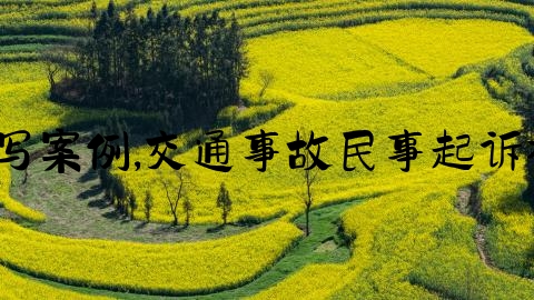 交通事故起诉书怎么写案例,交通事故民事起诉状（附赔偿明细清单）