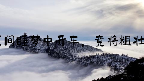 交通事故销案怎么销案,珠海男子夜间睡梦中开车，竟将粗壮大树撞倒！报警后老婆哭着要销案