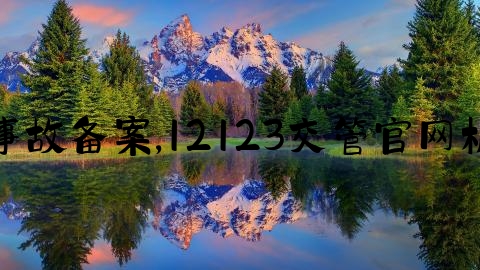 怎么样消交通事故备案,12123交管官网机动车转籍申请