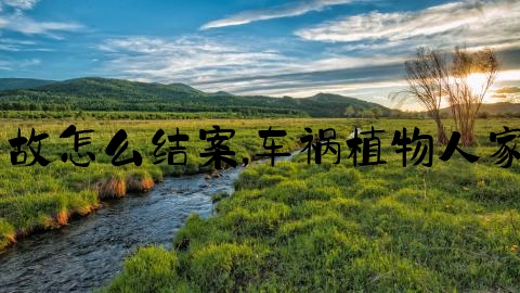 植物人交通事故怎么结案,车祸植物人家属获赔200万