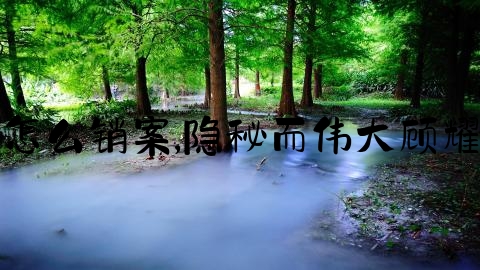 追尾交通事故怎么销案,隐秘而伟大顾耀东夏继成合照