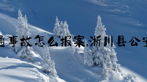 非机动车交通事故怎么报案,淅川县公安局网警大队