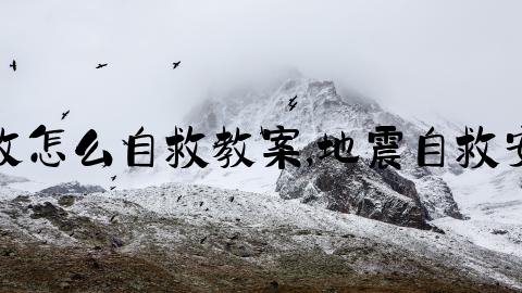 高速交通事故怎么自救教案,地震自救安全教案小班