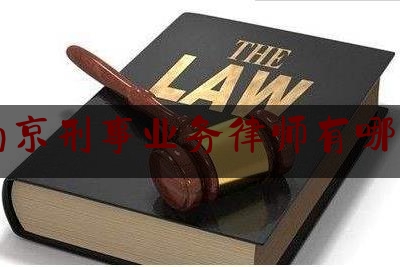 南京刑事业务律师有哪些（南京专业刑事案件律师）