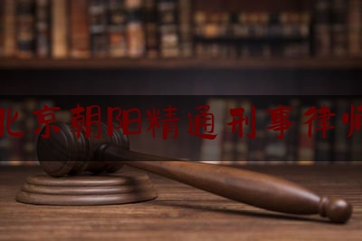 北京朝阳精通刑事律师（北京市朝阳律师所）