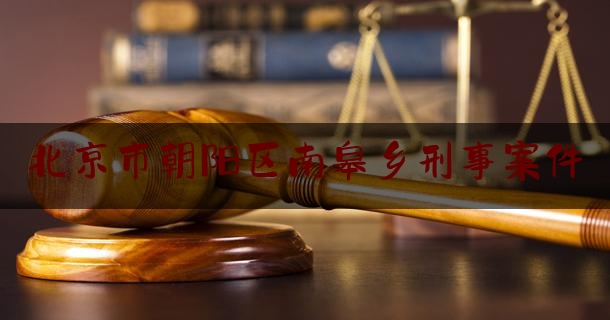 北京市朝阳区南皋乡刑事案件（北京市朝阳区崔各庄乡南皋路188号）