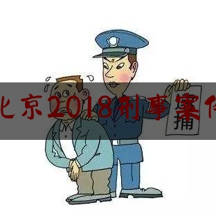 北京2018刑事案件（2021年北京刑事案件）