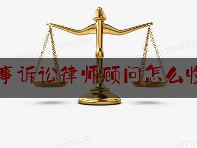 刑事诉讼律师顾问怎么收费（刑事案件诉讼律师）