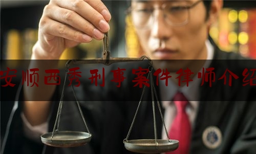 安顺西秀刑事案件律师介绍（安顺西秀人民法院公开网）