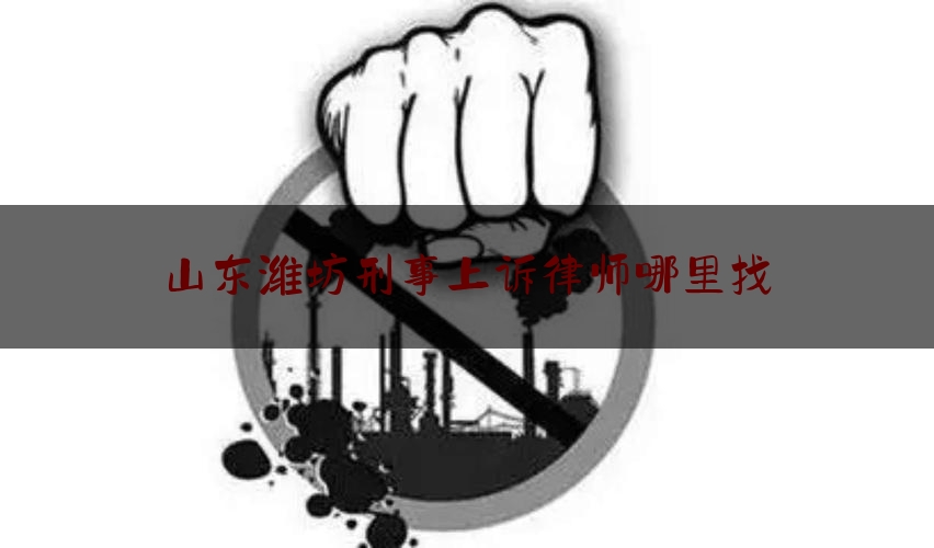 山东潍坊刑事上诉律师哪里找（潍坊刑事专业律师所）